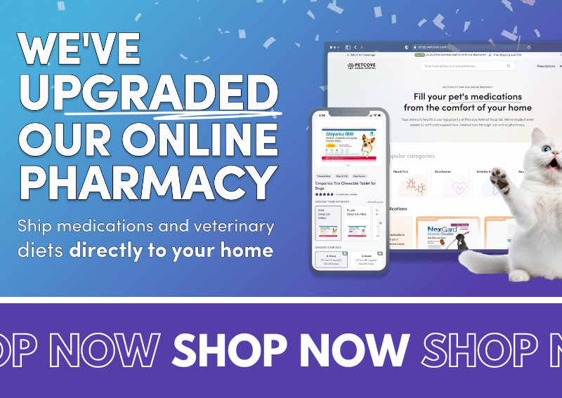 Carousel Slide 2: Kaukauna online veterinary pharmacy