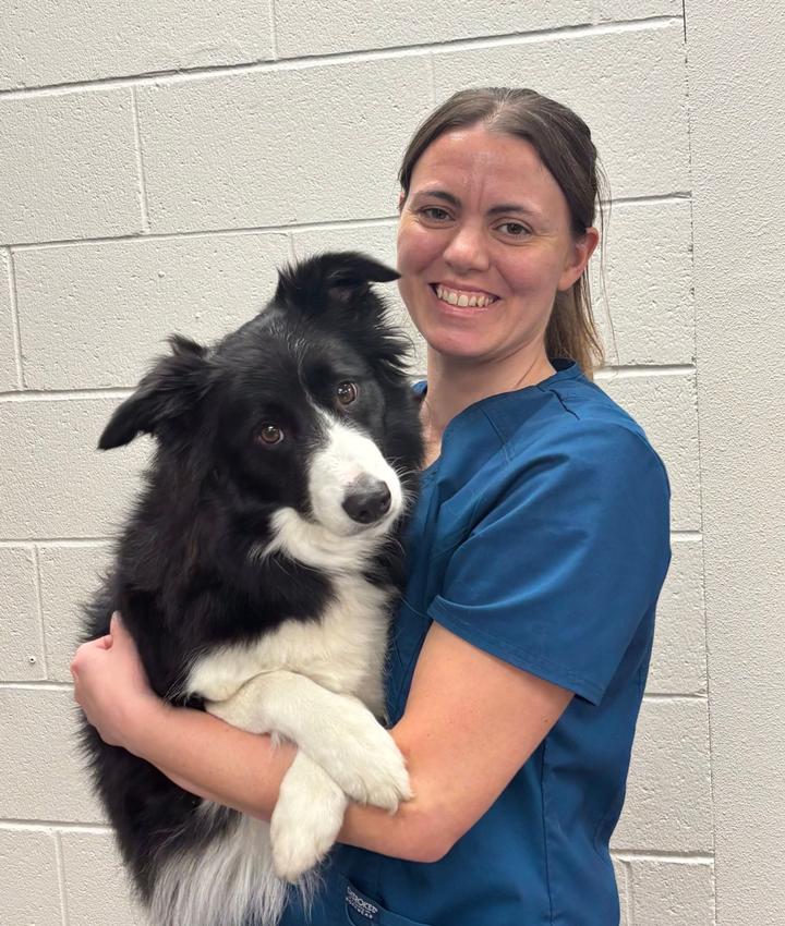 Sara Schroeder, DVM