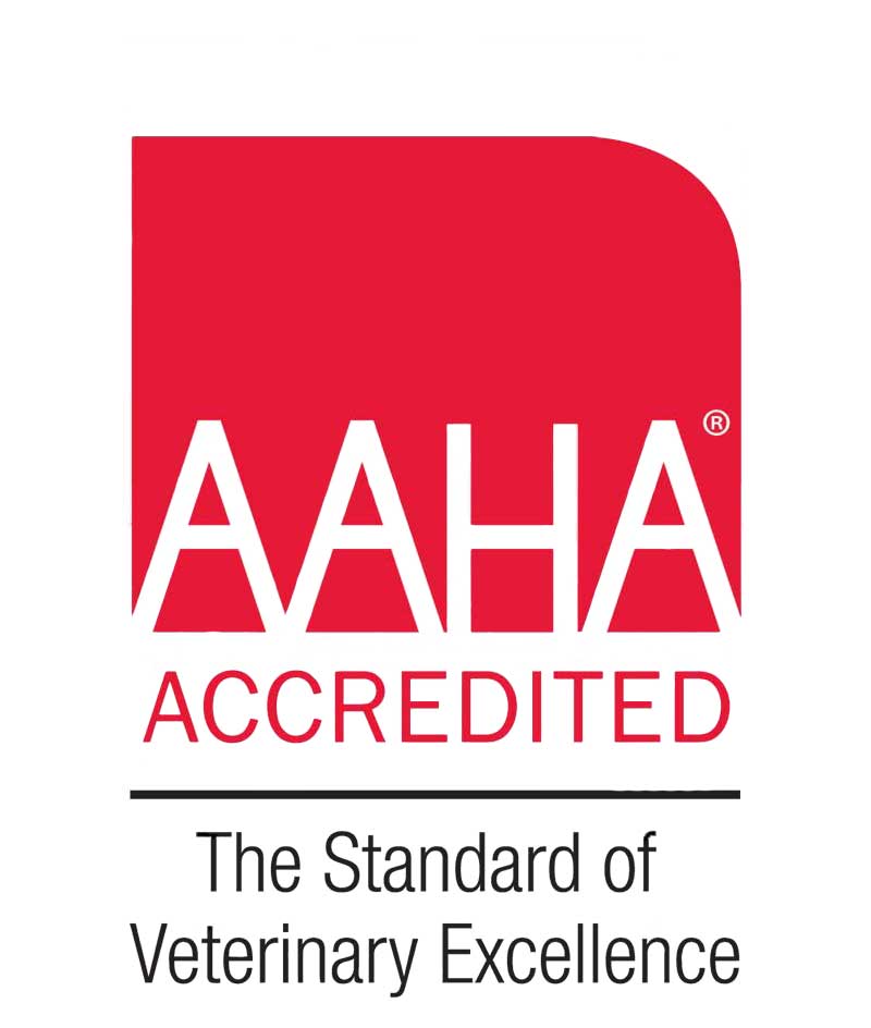 AAHA Logo